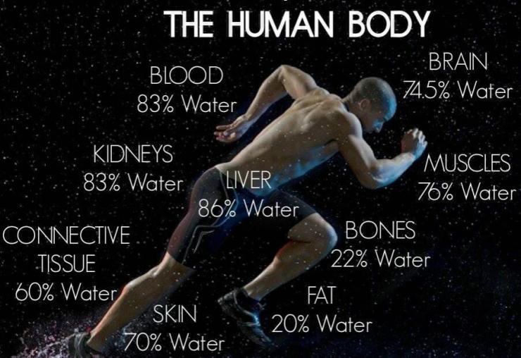 There's a reason why water is the most important liquid in our lives. Everything in our bodies is made of water -- even our bones!!